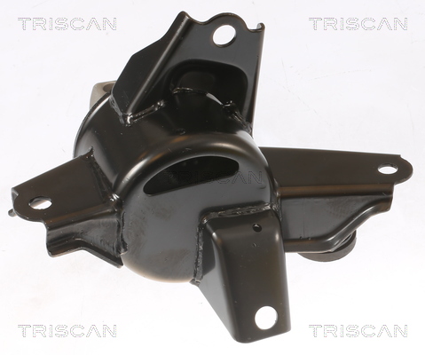 TRISCAN 8505 43108 Lagerung, Motor