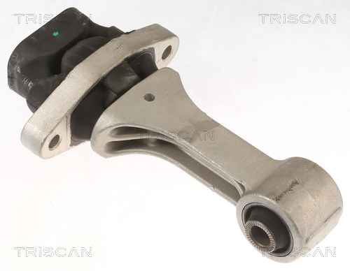 TRISCAN 8505 43109 Lagerung, Motor