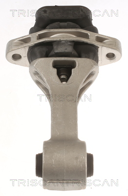 TRISCAN 8505 43109 Lagerung, Motor