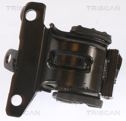 TRISCAN 8505 50100 Lagerung, Motor