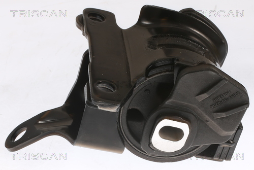TRISCAN 8505 50100 Lagerung, Motor