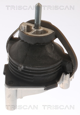 TRISCAN 8505 65100 Lagerung, Motor