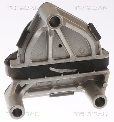 TRISCAN 8505 65100 Lagerung, Motor