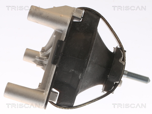 TRISCAN 8505 65100 Lagerung, Motor
