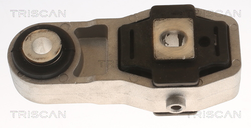 TRISCAN 8505 65102 Lagerung, Motor