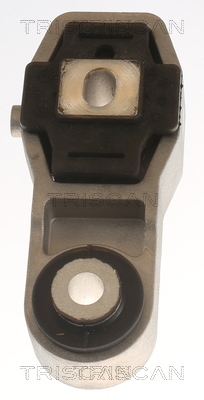 TRISCAN 8505 65102 Lagerung, Motor