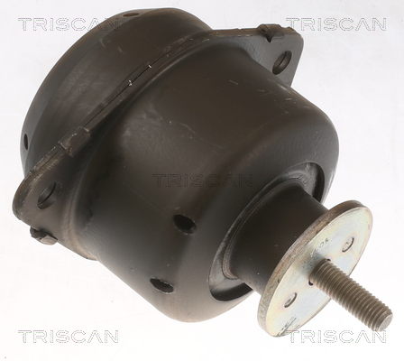 TRISCAN 8505 65103 Lagerung, Motor