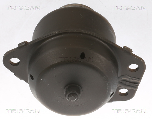 TRISCAN 8505 65103 Lagerung, Motor