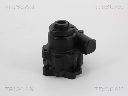 TRISCAN 8515 29631 Hydraulikslang, stysrsystem