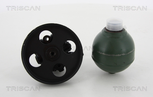 TRISCAN 8515 38618 Hydraulikslang, stysrsystem