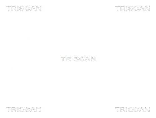 TRISCAN 8530 11104 Hjullagerssats
