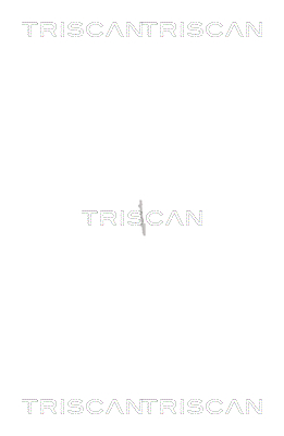 TRISCAN 8530 82002 Radlagersatz