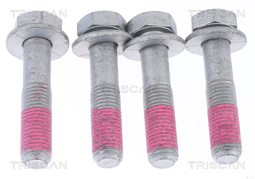 TRISCAN 8540 11113 Ledsats, drivaxel