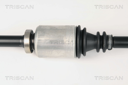 TRISCAN 8540 25619 Antriebswelle