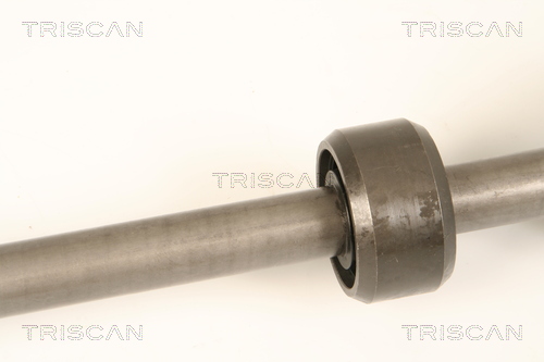TRISCAN 8540 25673 Antriebswelle