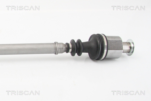 TRISCAN 8540 25676 Antriebswelle