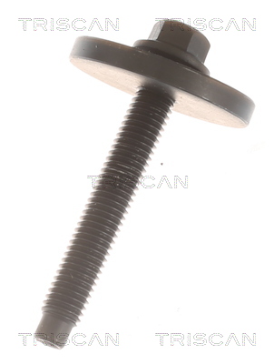 TRISCAN 8540 27529 Antriebswelle