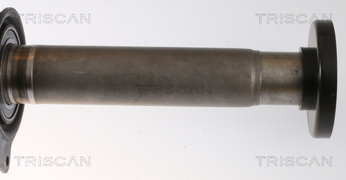 TRISCAN 8540 295056 Antriebswelle