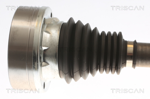 TRISCAN 8540 295076 Antriebswelle