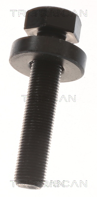 TRISCAN 8540 295079 Antriebswelle