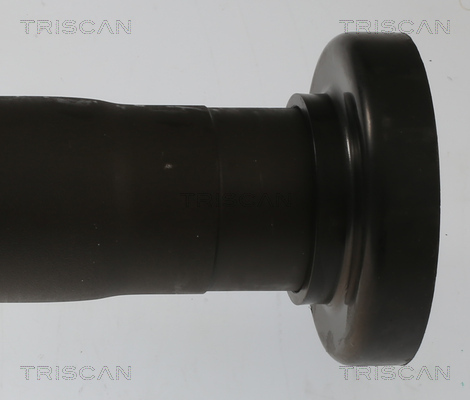 TRISCAN 8540 297014 Antriebswelle