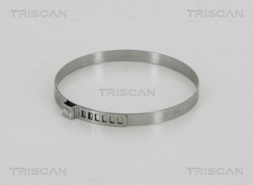 TRISCAN 8541 94100S Spannband