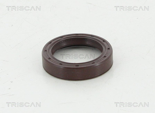TRISCAN 8550 10022 Wellendichtring, Kurbelwelle