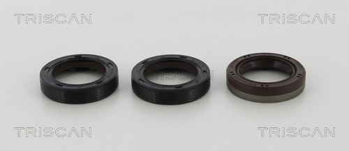 TRISCAN 8550 10059 Wellendichtringsatz, Motor