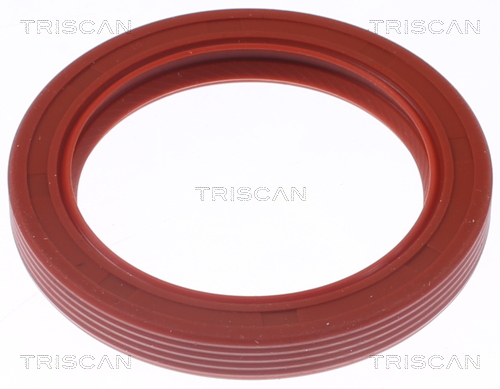 TRISCAN 8550 10073 Wellendichtring, Kurbelwelle