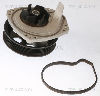 TRISCAN 8600 10087 Vattenpump