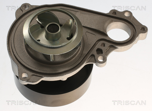 TRISCAN 8600 11065 Wasserpumpe, Motorkühlung