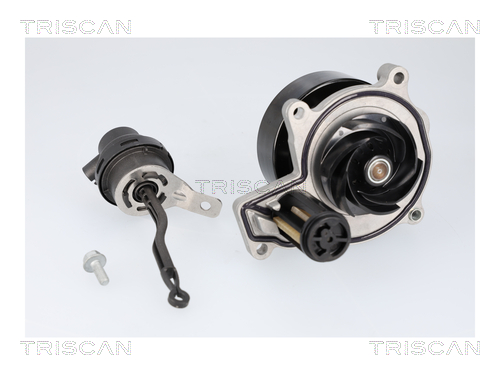 TRISCAN 8600 11070 Wasserpumpe, Motorkühlung