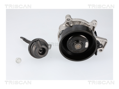 TRISCAN 8600 11070 Wasserpumpe, Motorkühlung