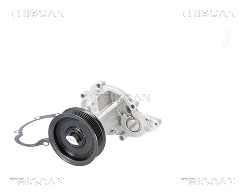 TRISCAN 8600 12002 Wasserpumpe, Motorkühlung