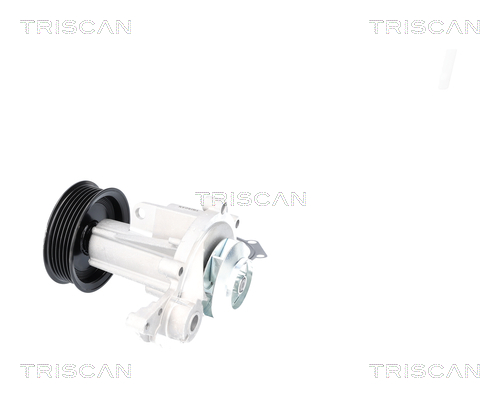 TRISCAN 8600 12002 Wasserpumpe, Motorkühlung
