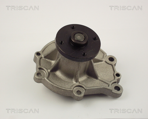 TRISCAN 8600 14012 Vattenpump