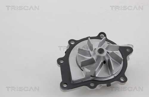 TRISCAN 8600 28021 Vattenpump