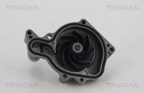 TRISCAN 8600 29051 Vattenpump