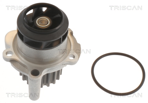 TRISCAN 8600 29063 Vattenpump