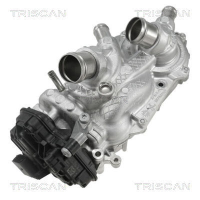 TRISCAN 8600 29101 Wasserpumpe, Motorkühlung