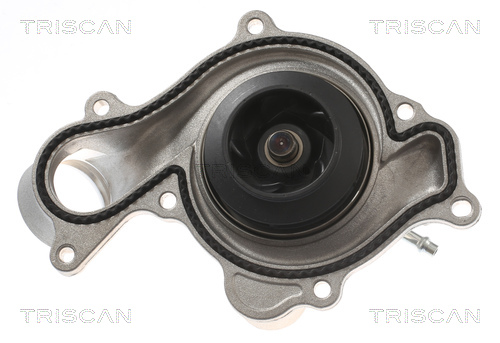 TRISCAN 8600 29102 Wasserpumpe, Motorkühlung