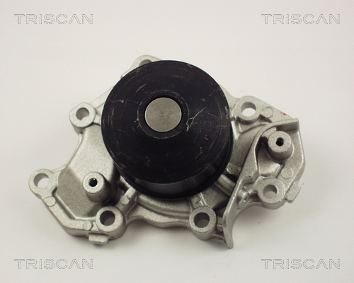 TRISCAN 8600 42013 Vattenpump