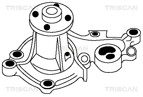 TRISCAN 8600 69945 Vattenpump