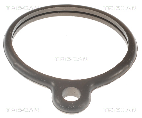 TRISCAN 8620 10088 Thermostat, Kühlmittel