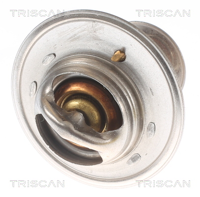 TRISCAN 8620 10288 Thermostat, Kühlmittel