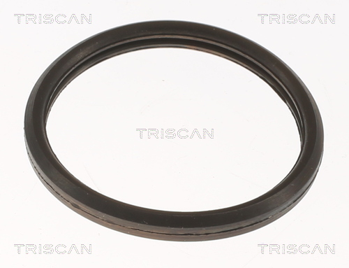 TRISCAN 8620 10582 Thermostat, Kühlmittel