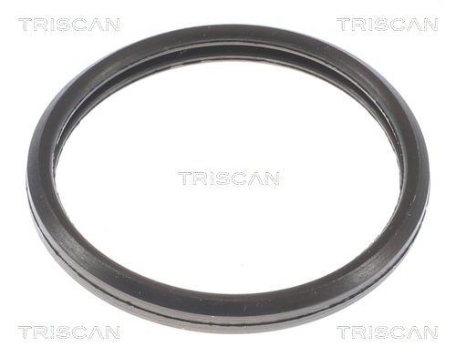 TRISCAN 8620 10588 Thermostat, Kühlmittel