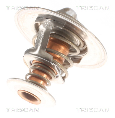 TRISCAN 8620 10691 Thermostat, Kühlmittel