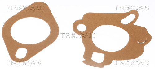 TRISCAN 8620 11082 Thermostat, Kühlmittel