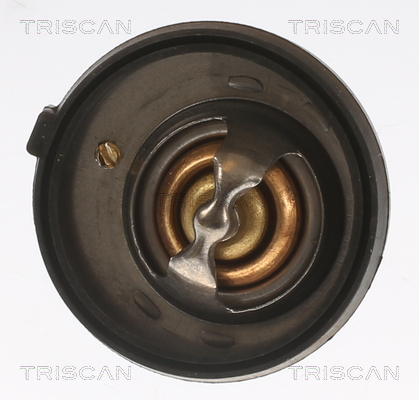 TRISCAN 8620 12191 Thermostat, Kühlmittel